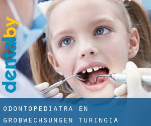 Odontopediatra en Großwechsungen (Turingia)