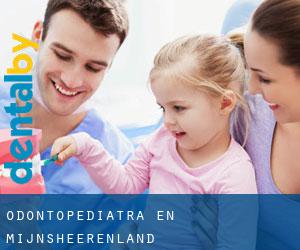 Odontopediatra en Mijnsheerenland