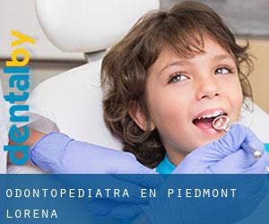 Odontopediatra en Piedmont (Lorena)