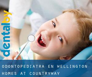 Odontopediatra en Wellington Homes at Countryway