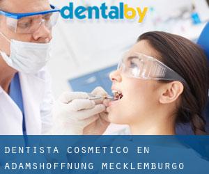 Dentista Cosmético en Adamshoffnung (Mecklemburgo-Pomerania Occidental)