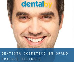 Dentista Cosmético en Grand Prairie (Illinois)