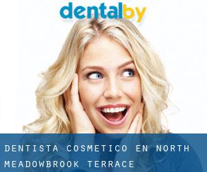 Dentista Cosmético en North Meadowbrook Terrace