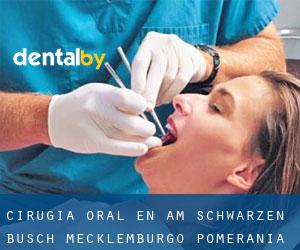 Cirugía Oral en Am Schwarzen Busch (Mecklemburgo-Pomerania Occidental)