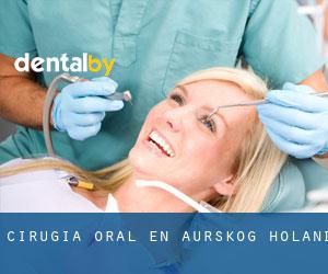 Cirugía Oral en Aurskog-Høland