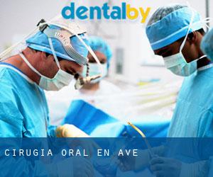 Cirugía Oral en Ave