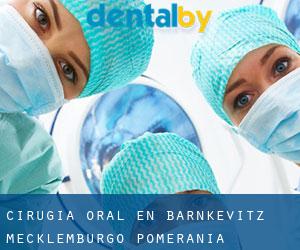Cirugía Oral en Barnkevitz (Mecklemburgo-Pomerania Occidental)
