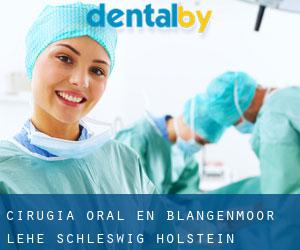 Cirugía Oral en Blangenmoor-Lehe (Schleswig-Holstein)