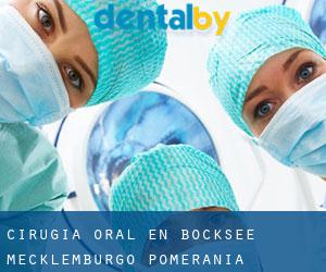 Cirugía Oral en Bocksee (Mecklemburgo-Pomerania Occidental)
