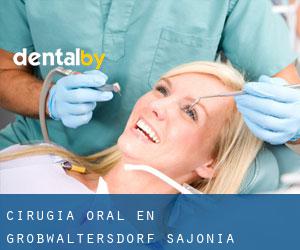 Cirugía Oral en Großwaltersdorf (Sajonia)
