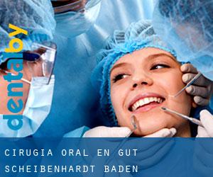 Cirugía Oral en Gut Scheibenhardt (Baden-Württemberg)