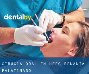 Cirugía Oral en Heeg (Renania-Palatinado)