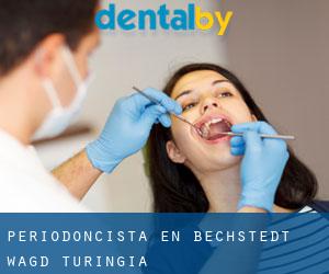 Periodoncista en Bechstedt-Wagd (Turingia)
