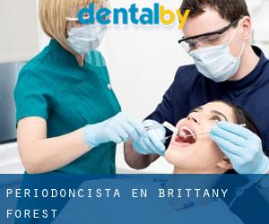 Periodoncista en Brittany Forest