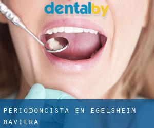 Periodoncista en Egelsheim (Baviera)