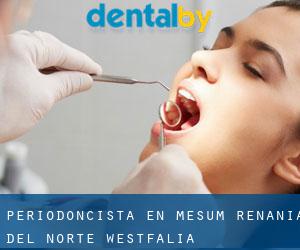 Periodoncista en Mesum (Renania del Norte-Westfalia)