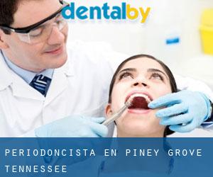 Periodoncista en Piney Grove (Tennessee)