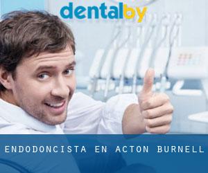 Endodoncista en Acton Burnell