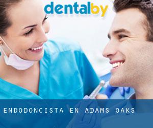 Endodoncista en Adams Oaks