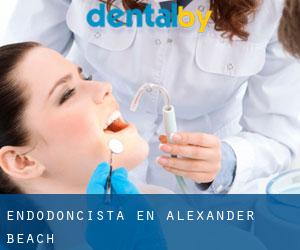 Endodoncista en Alexander Beach