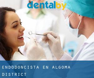Endodoncista en Algoma District