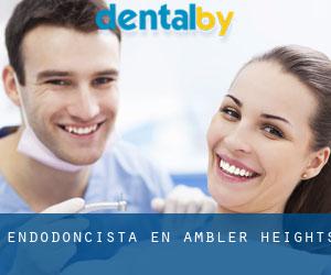 Endodoncista en Ambler Heights