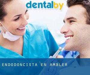 Endodoncista en Ambler