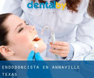 Endodoncista en Annaville (Texas)