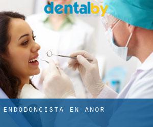 Endodoncista en Anor