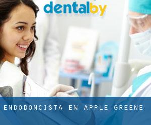 Endodoncista en Apple Greene