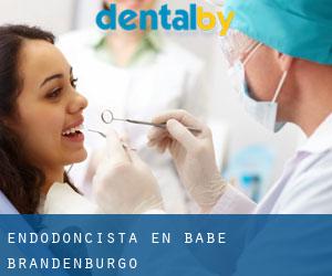 Endodoncista en Babe (Brandenburgo)