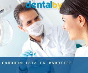 Endodoncista en Babottes