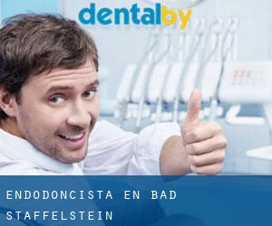 Endodoncista en Bad Staffelstein