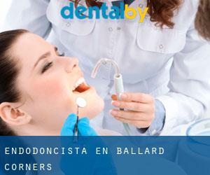 Endodoncista en Ballard Corners