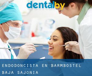 Endodoncista en Barmbostel (Baja Sajonia)