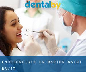 Endodoncista en Barton Saint David