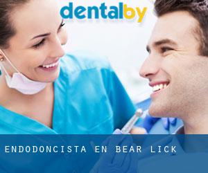 Endodoncista en Bear Lick