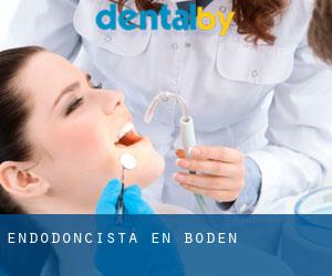 Endodoncista en Boden