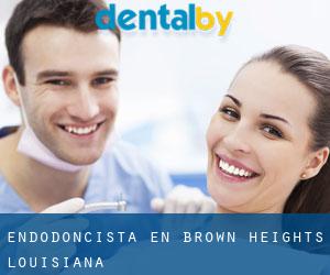 Endodoncista en Brown Heights (Louisiana)