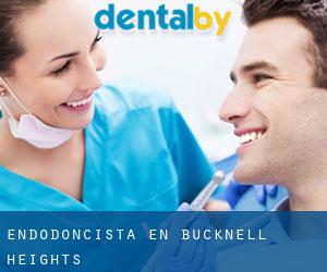 Endodoncista en Bucknell Heights