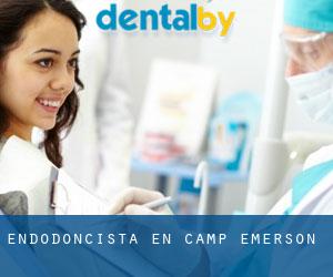 Endodoncista en Camp Emerson