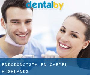 Endodoncista en Carmel Highlands