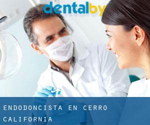 Endodoncista en Cerro (California)