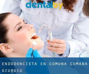 Endodoncista en Comuna Comana (Giurgiu)