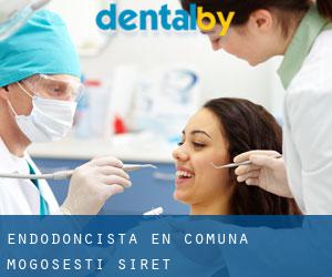 Endodoncista en Comuna Mogoşeşti-Siret