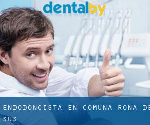 Endodoncista en Comuna Rona de Sus