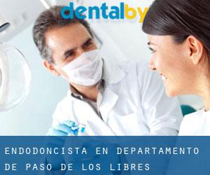 Endodoncista en Departamento de Paso de los Libres