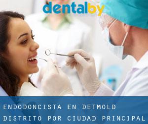 Endodoncista en Detmold Distrito por ciudad principal - página 1