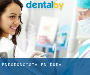 Endodoncista en Duda