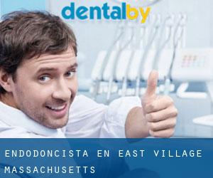 Endodoncista en East Village (Massachusetts)